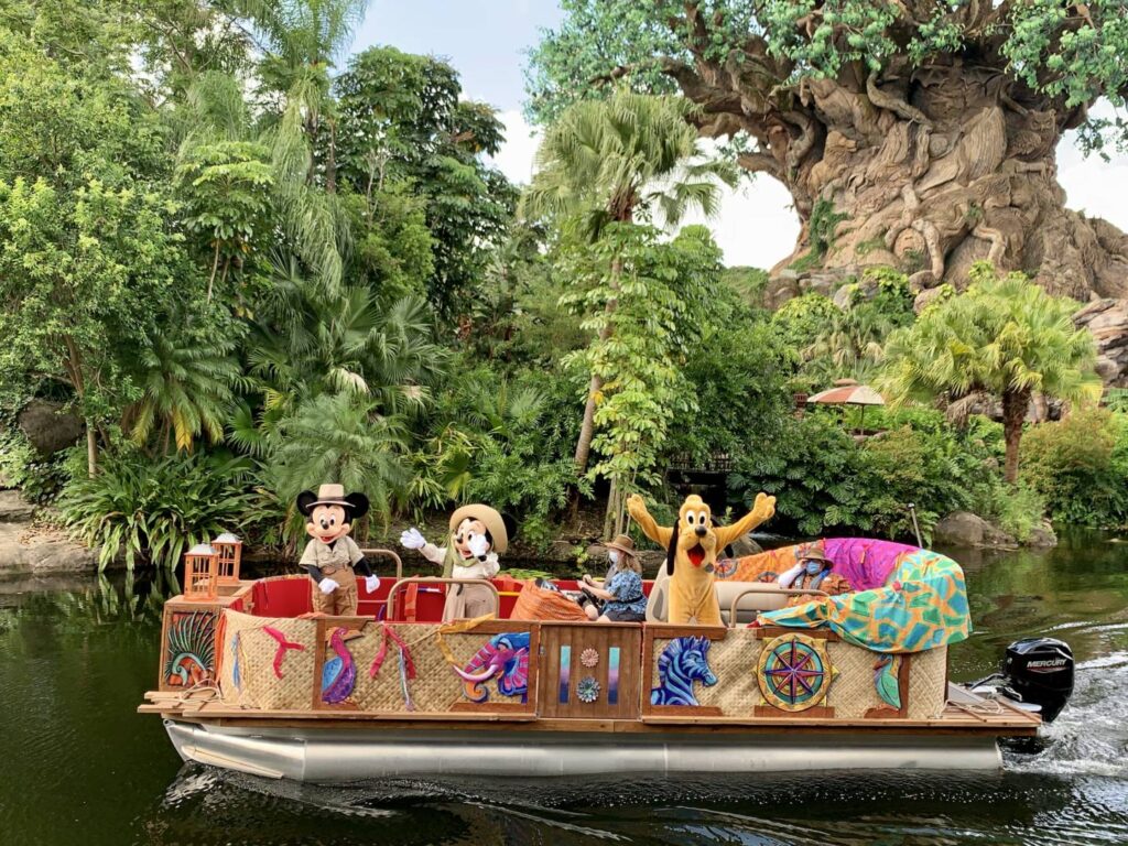 Animal Kingdom