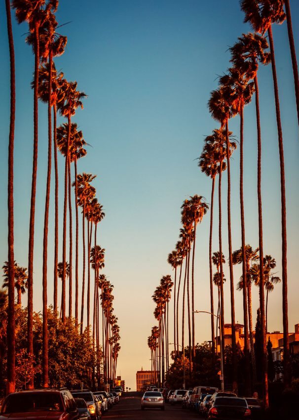 los-angeles-california-hills los-angeles-california-hills
